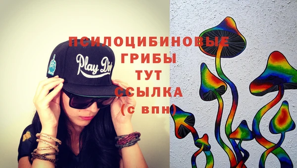 амф Белокуриха