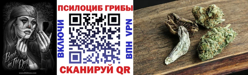Псилоцибиновые грибы мицелий  наркота  Дудинка 